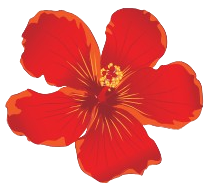 progetto senza titolo 3 removebg preview